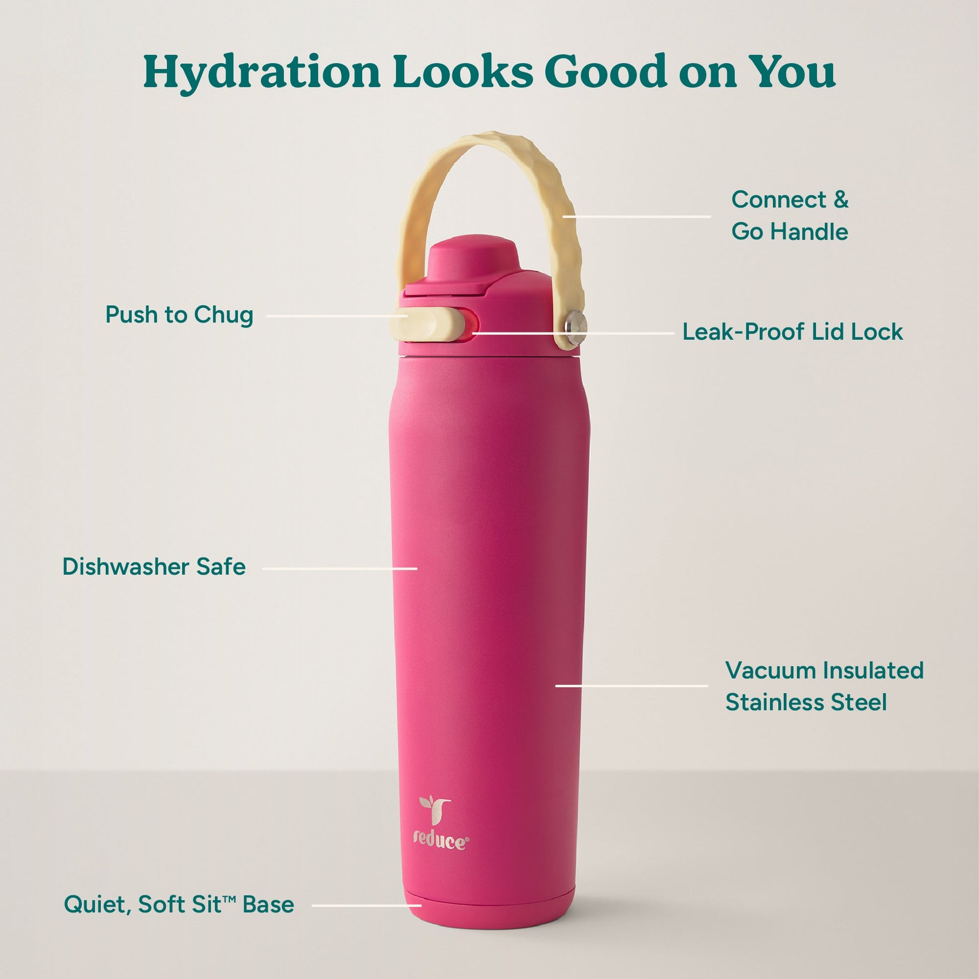 aura-26-oz-z1 Aura_26oz_DragonFruit_PDP_Infographic_2-03.jpg