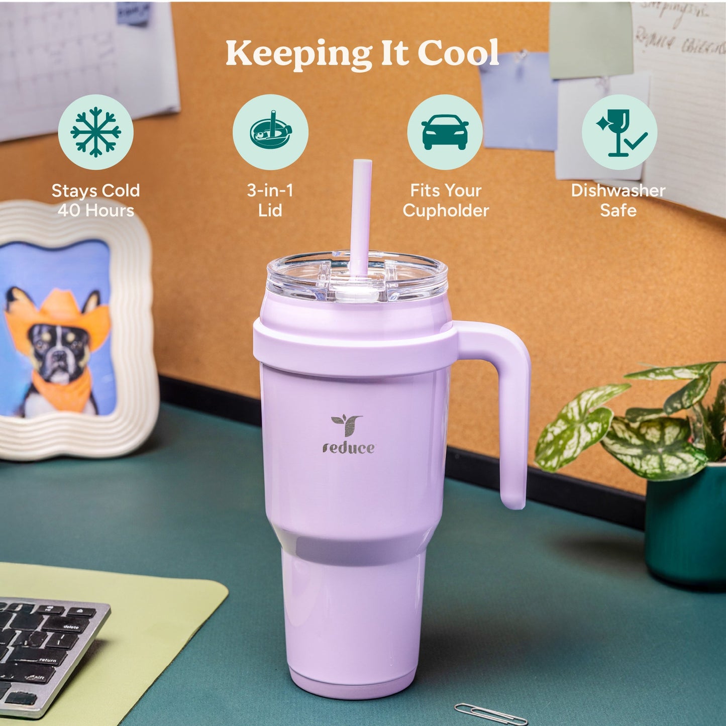 cold1-40-oz-r6 Cold1_40oz_PalmLeaf_Infographic_1.jpg