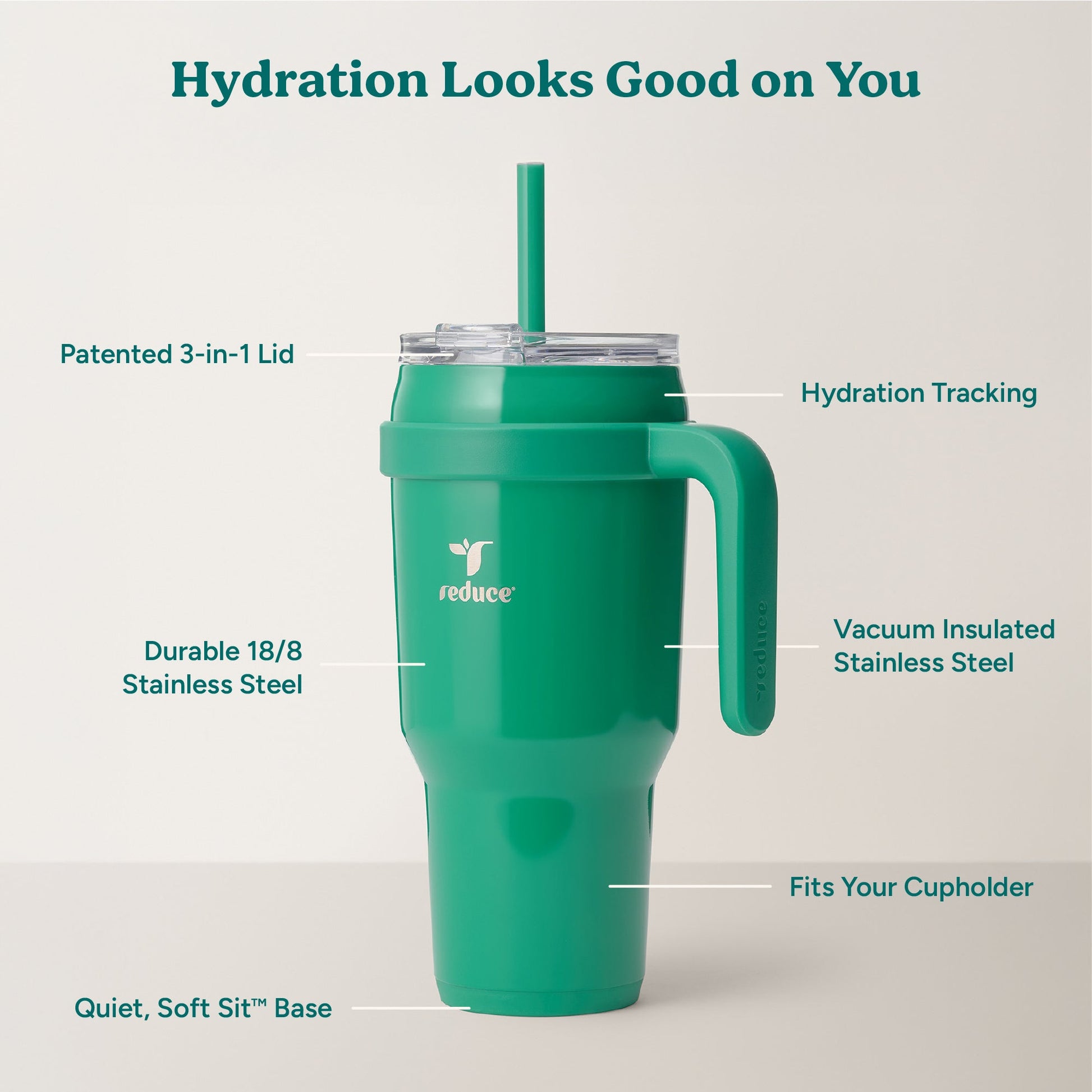 cold1-40-oz-r6 Cold1_40oz_PalmLeaf_Infographic_2.jpg
