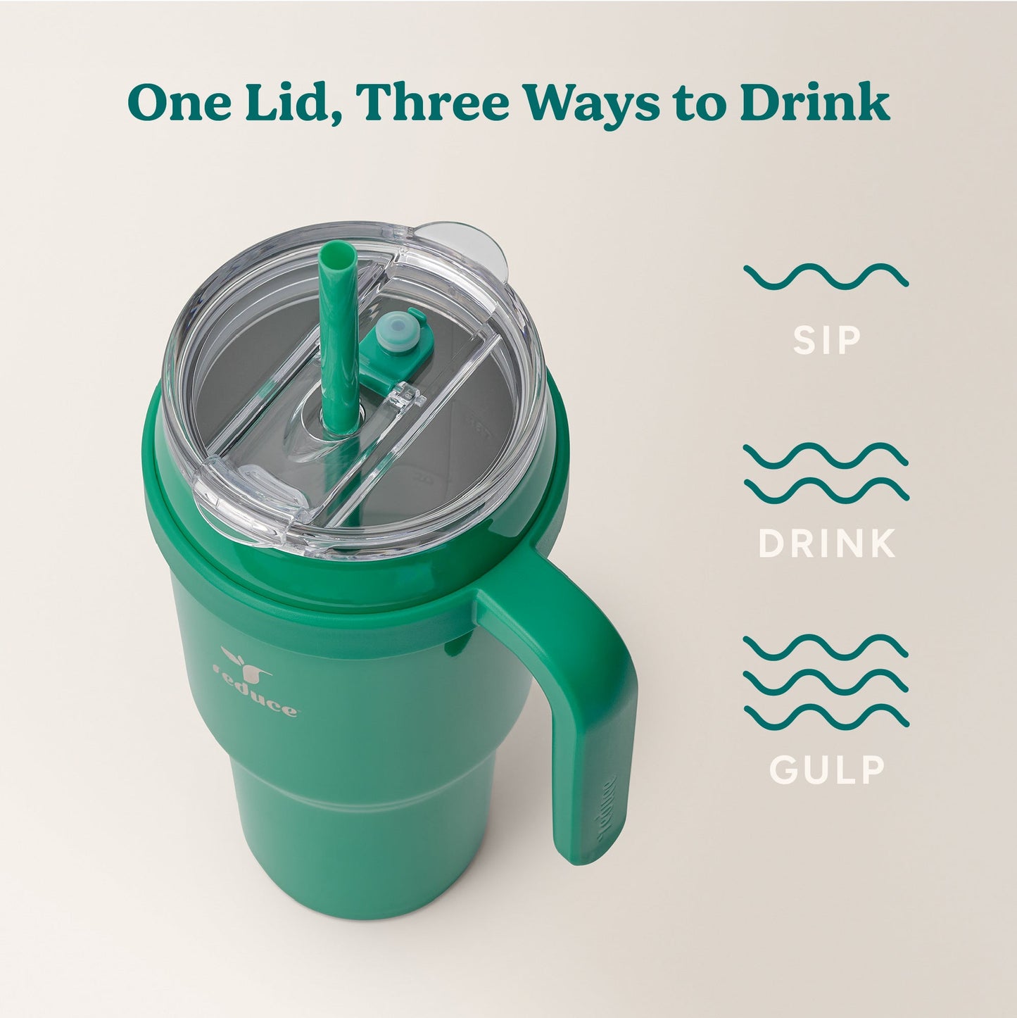 cold1-40-oz-r6 Cold1_40oz_PalmLeaf_Infographic_3.jpg